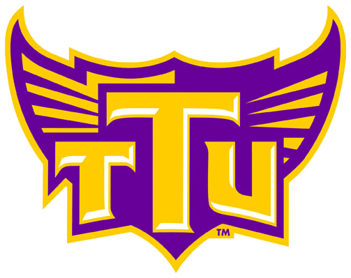 Tennessee Tech Golden Eagles 2006-Pres Alternate Logo t shirts iron on transfers v8